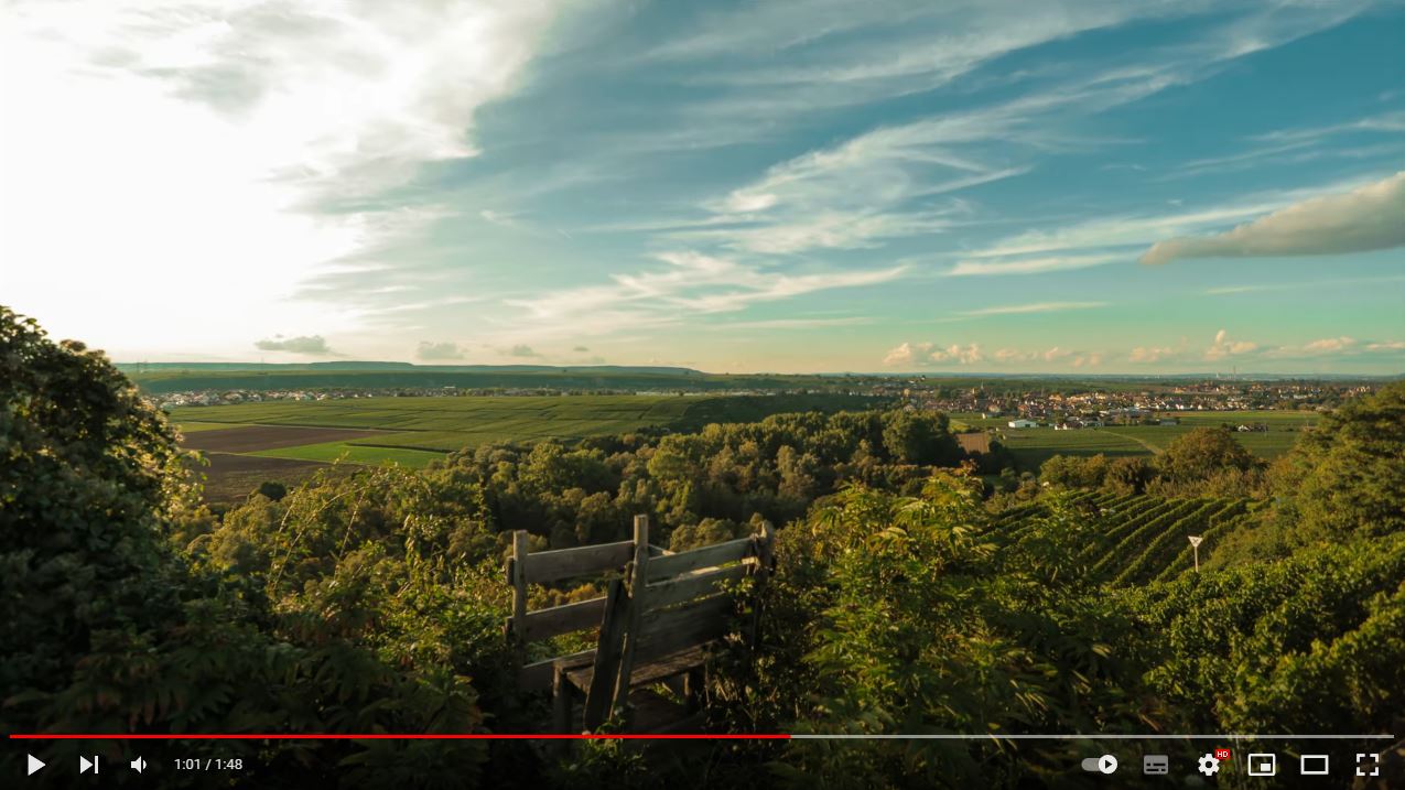 Timelapse Test: Vineyards South Germany